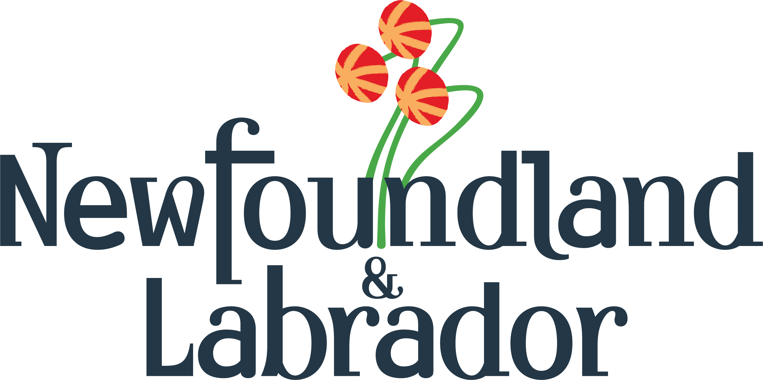 Digital Government and Service NL, Canada